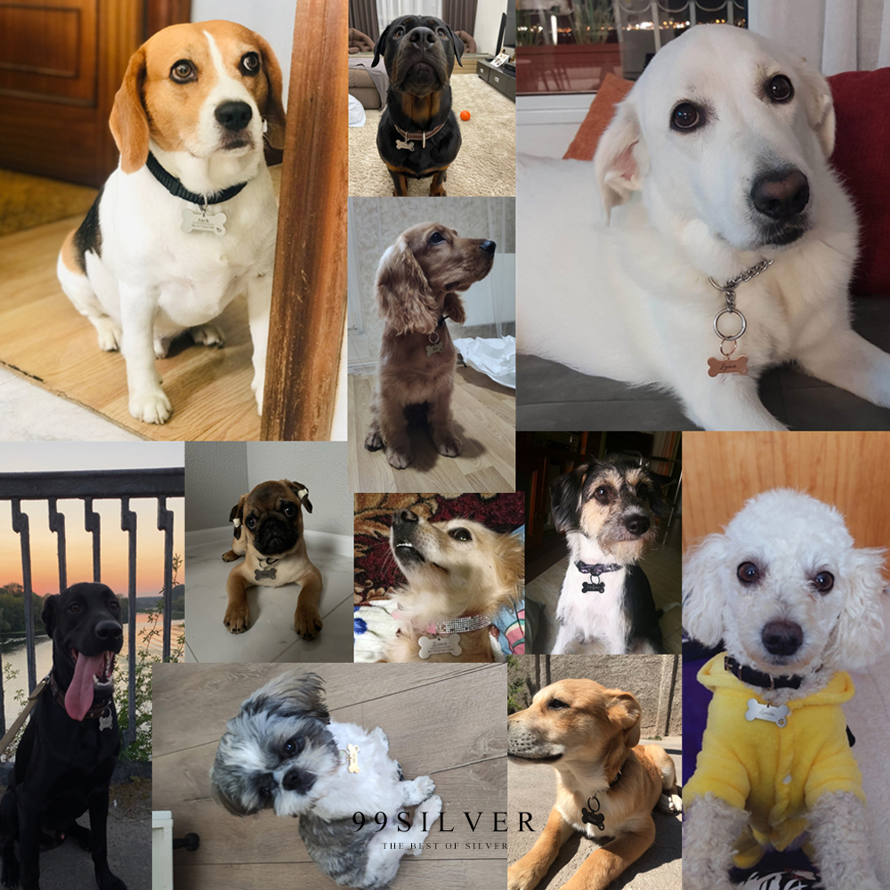 ป้ายชื่อหมา ป้ายห้อยคอน้องหมา สลักชื่อได้ งานเนื้อสแตนเลสหนาสวยแข็งแรง