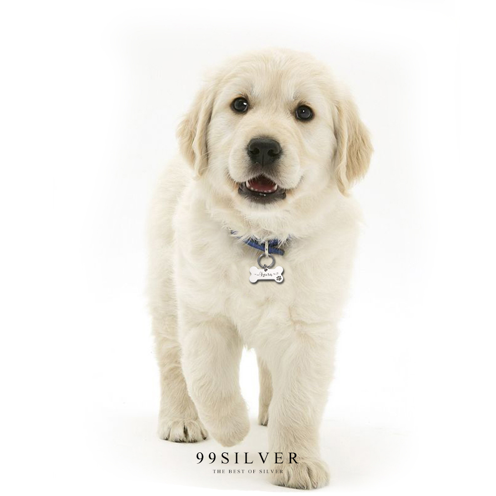 ป้ายชื่อหมา ป้ายห้อยคอน้องหมา สลักชื่อได้ งานเนื้อสแตนเลสหนาสวยแข็งแรง